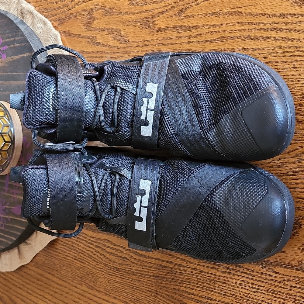 Nike Lebron Soldier IX 14